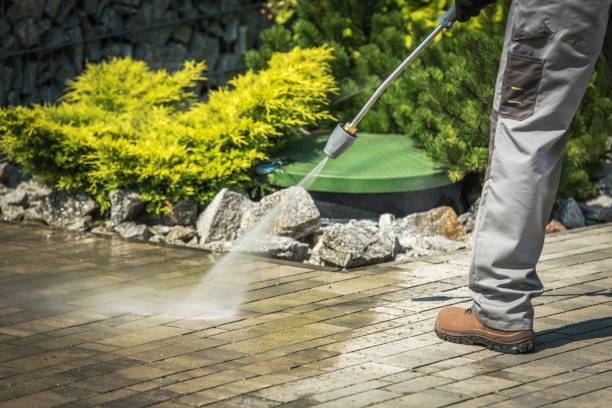 Best Driveway Pressure Washing  in Robstown, TX