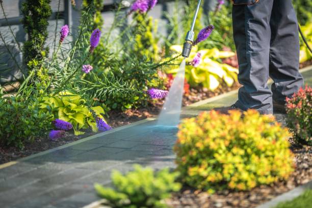Professional Pressure Washing Services in Robstown, TX